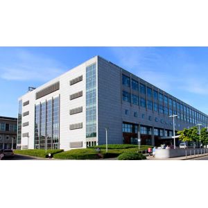 Chongqing Yidaoyuan Trade Co., Ltd.