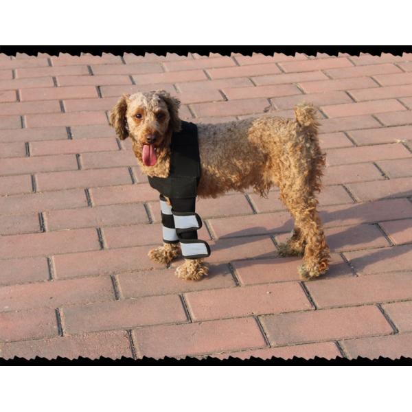 Скакательный сустав спортивные наколенники дышащий противоударный пользовательский наколенник для маленькой собаки