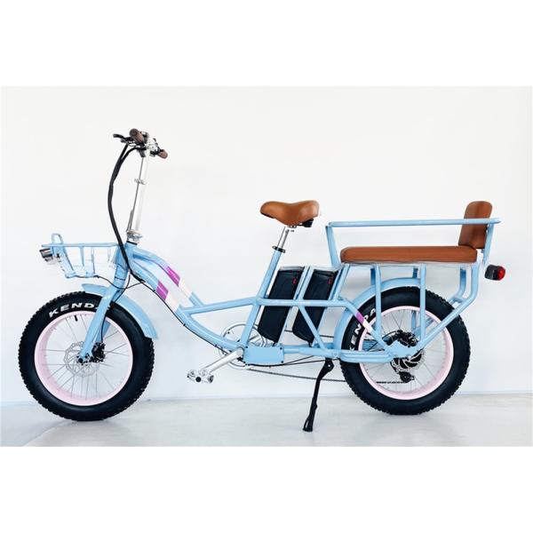 Shimano Gear Alloy Stem Dual Batteries Folding Step Through Ebike for Carrying Kids