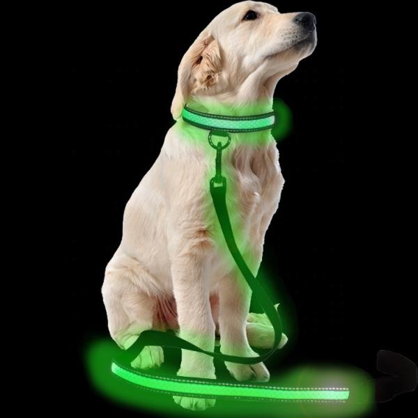 LED Dog USB Rechargeable Collars And Leashes Pet Product Waterproof Flashing