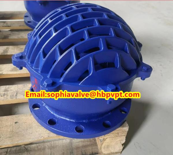 Size DN200 resilient seal blue flanged foot valve factory