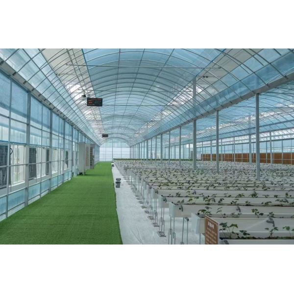 Hot-Dip Galvanized Steel Multi-Span Commercial Greenhouse with Customizable Dimensions and Wind Resistance
