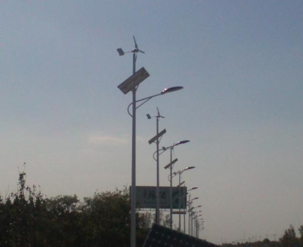 600W 24V / 48V Wind Driven Generator With Single - Phase