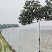 50 malhas de alta densidade Agricultura Rede de insetos 50-90 gm Vegetais Rede anti-insetos