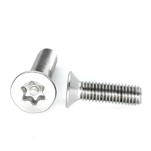 Stainless Steel Flat Torx Head Screw