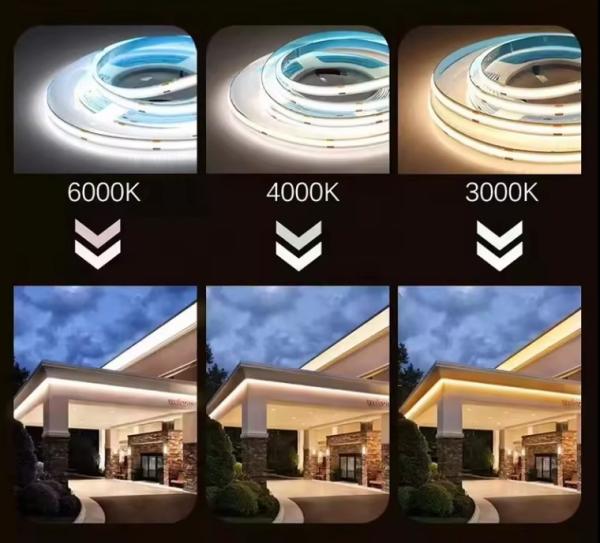 50cm Cuttable Length AC220V COB LED Strip with CE Certification