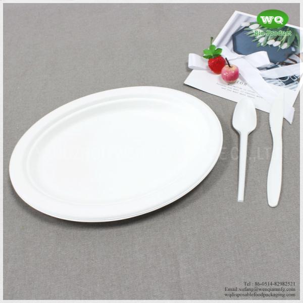 Biodegradable 10/12 Inch Oval Platters Made From Natural Sugarcane Pulp- Bamboo Dinner Plate Melamine Dinner Plate