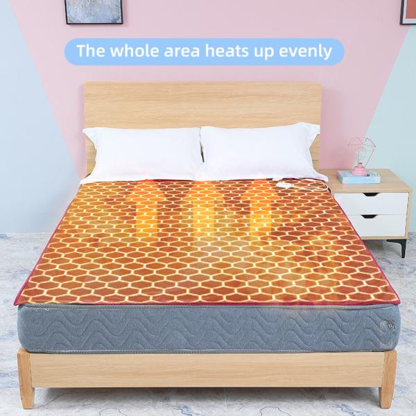 Роскошное одеяло топления собственной личности, двойник встало на сторону одеяло фланели Вашабле электрическое с подогревом