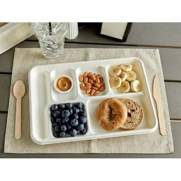 Biodegradable Bagasse Clamshell Containers Food Trays 321mm 6 Compartment for Mass Catering