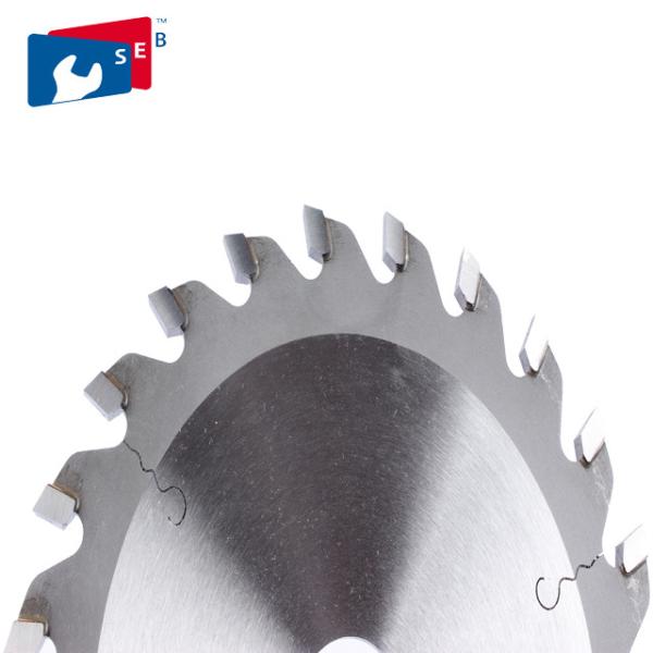 Multipurpose TCT Circular Saw Blade with 100mm 24 Teeth for Wood Cutting Disc
