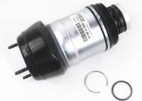 Equipo de reparación de la suspensión del aire del Benz de Mercedes para el equipo A1663202513 A1663201313 de la amortiguación de aire con resorte del frente W166