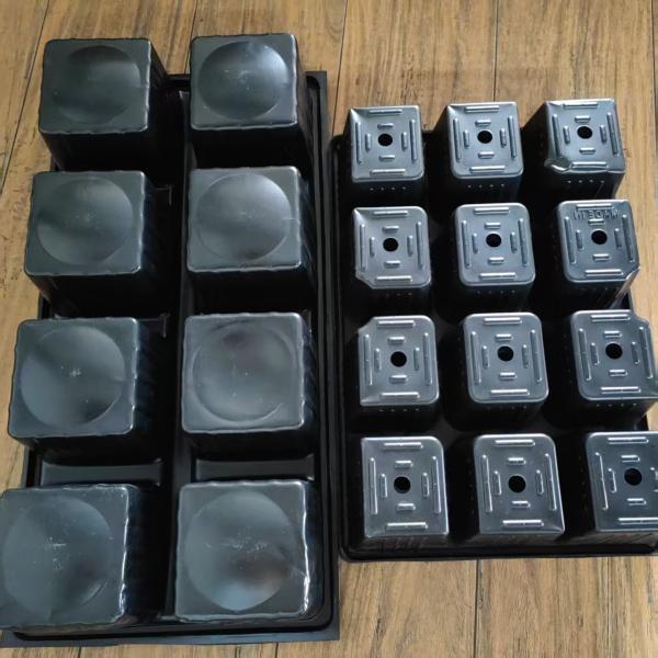 12 plateaux en grille noir avec trous plateaux en plastique en PP pour la plantation de semences agricoles plateaux hydroponiques