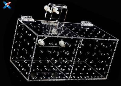 XH-AF Acrylic Modern Furniture Acrylic Isolation Box For Aquarium Plexiglass Tropical