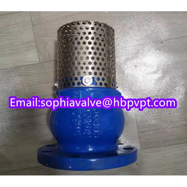 150lb ANSI stainless steel screen cast iron flanged foot valve