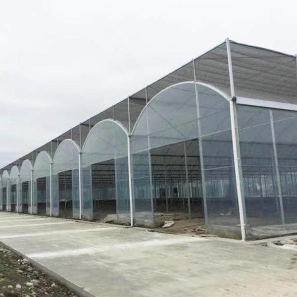 A estufa agrícola da folha do policarbonato do Multi-período para parte estufa tropical