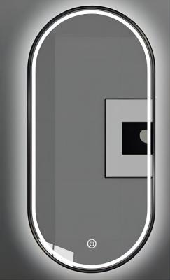 Oval Illuminated LED Bathroom Mirror Light With Integrated LED Lighting