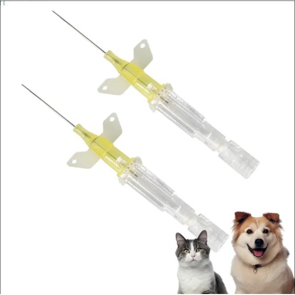 Cathéter IV médical pour animaux de compagnie / Cathéter IV / Tube IV pour animaux Chiens Chats Perfusion IV Soins permanents