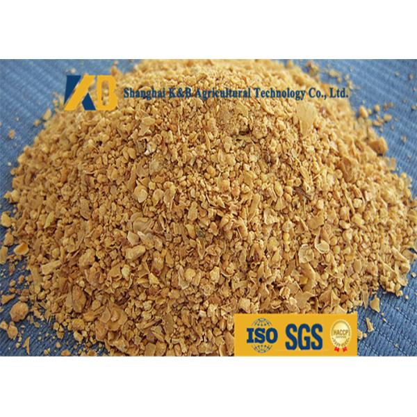 Multi Use Maize CGM Corn Gluten Meal Feed Promoting Growth GMP Certified