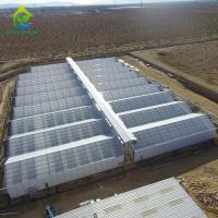 A estufa clara da privação da flor completa automatizou estufas interiores do escurecimento