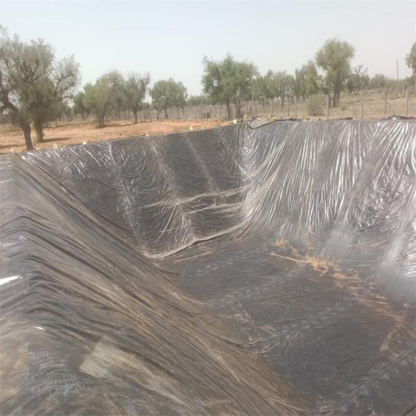1 mm HDPE Geomembrane Liner essencial para a construção e manutenção da barragem do Quênia