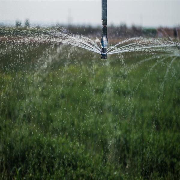 Center Pivot Farm Irrigation System Remote Monitoring Metal Super Pivot Agriculture Irrigation Solution with Tower