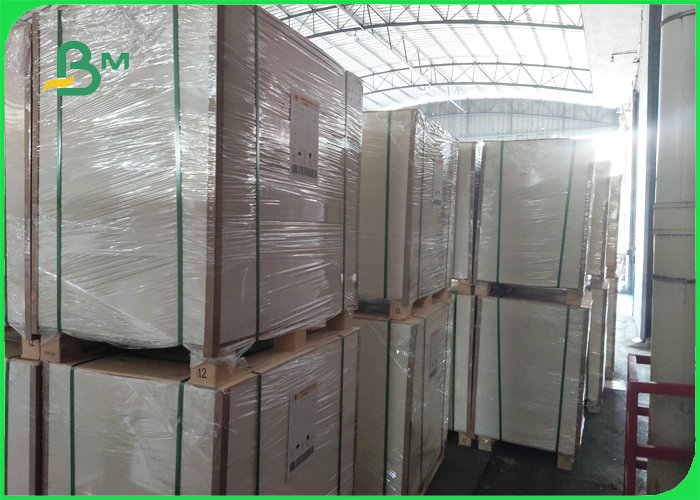 Biodegradable картон 100% пищевого контейнера 300gsm + 15gPE безвредное Биодеградабле картон 100% пищевого контейнера 300гсм + 15гПЭ безвредное