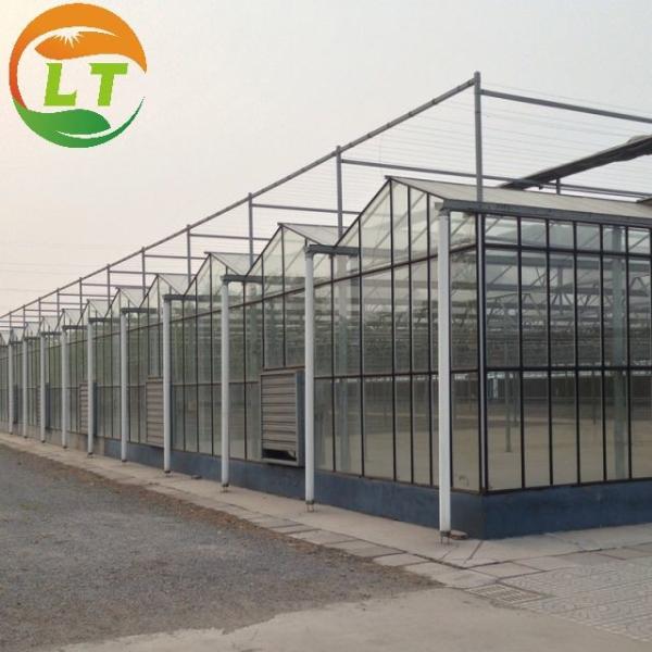 Victorian Glass Greenhouse Width 8m or Customized Made of Transparent Glass Material
