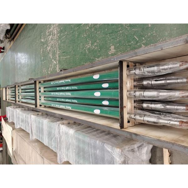 Carbon Steel AISI1045 Insert Pump for Oil and Gas Production