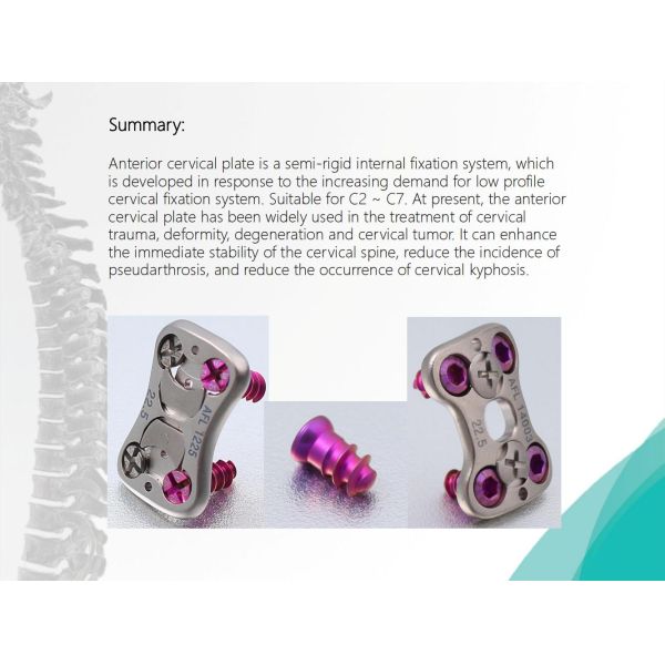 Spine Anterior Cervical Plate Titanium Cervical Plate Implant Orthopedic Surgery CE Certification