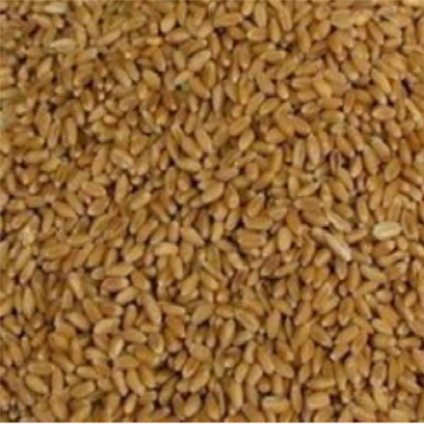 Аграрный сушильщик зерна серии 25m3 80HP 580L