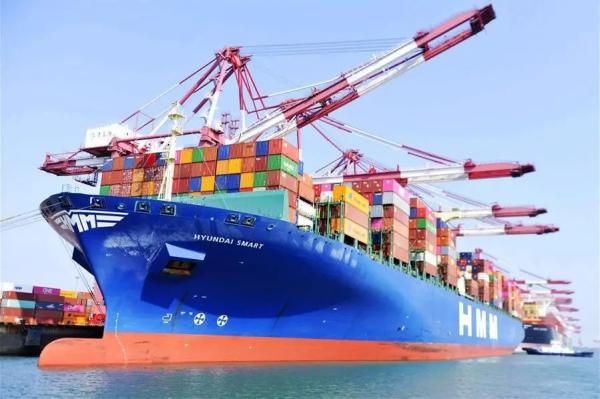 Quick LCL Ocean Freight China To Phnom Penh LCL Sea Shipping