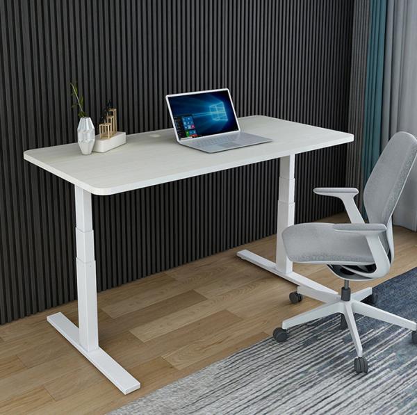 Office Furniture Height Adjustable Double Motor Electric Table for Learning in White