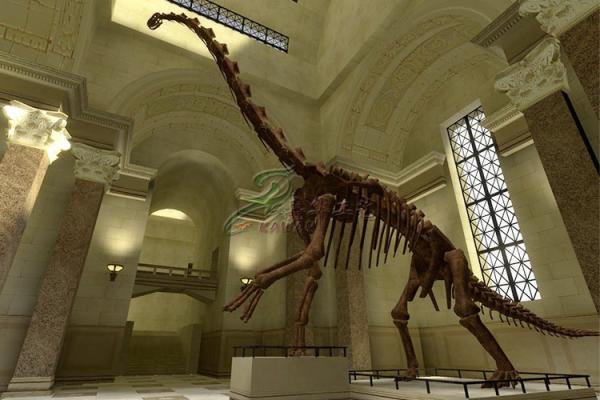 Customized Complete Dinosaur Fossil Life Size For Indoor Exhibition