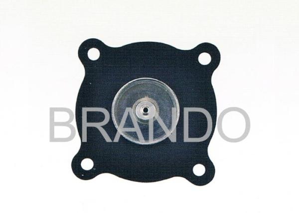 2W250-25 Stainless Steel Viton Diaphragm For 1 Inch Water Solenoid Valve