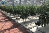Agricultural Substrate Planting Gutter Steel Large Scale Hydroponic Planting System