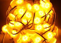 Luz amarela do ponto do diodo emissor de luz de DC24V 0.6W 30mm SMD 5050 para a decoração da letra