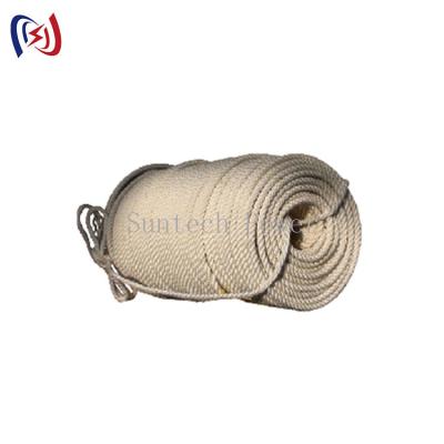 Levantamento de grande resistência isolado da construção da corda da fibra do nylon de 18mm