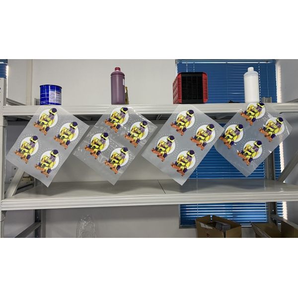 24 Inch PET Film DTF 60 CM Printer Heat Transfer T Shirt Printing Machine With XP600 Head