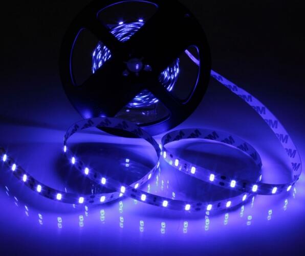 Blue LED Strip Lights 36W Power 12 Voltage 5M Length 300 SMD 5630 LEDs