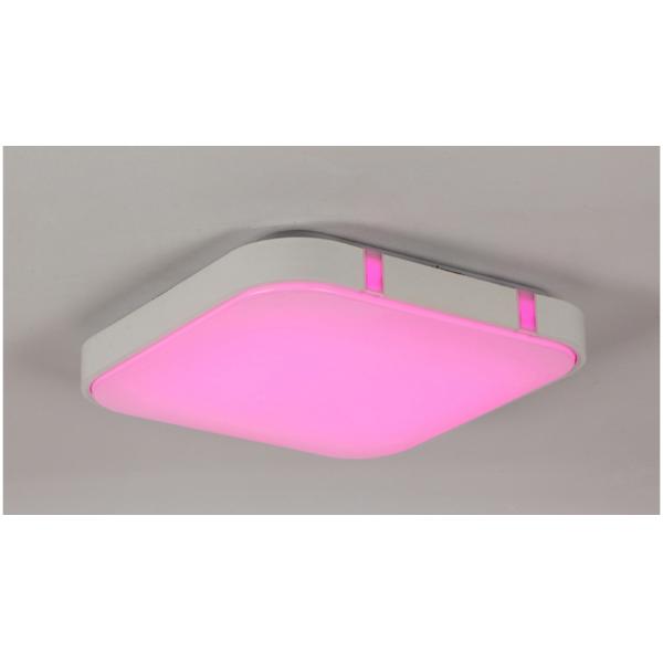 Modern Ceiling Lights RGB ceiling Lamp kitchen overhead light fixtures (WH-MA-33)
