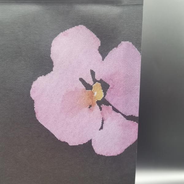 ISO9001 Eco Friendly Packaging Pouches Black Kraft Paper Pouch With PLA Zipper