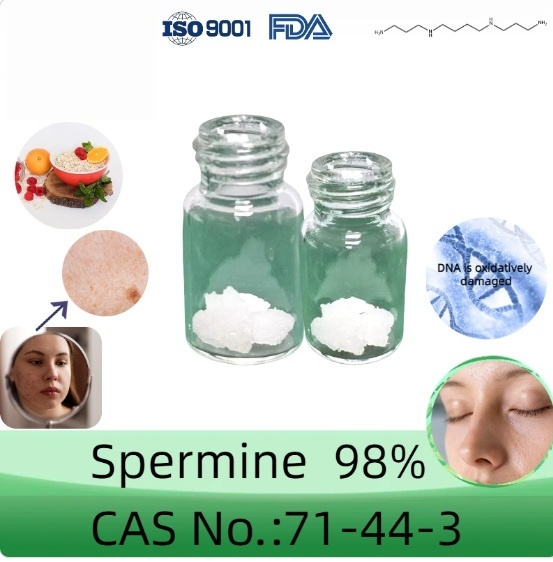 GMP factory supply high purity musculamine powder Spermin cas 71-44-3