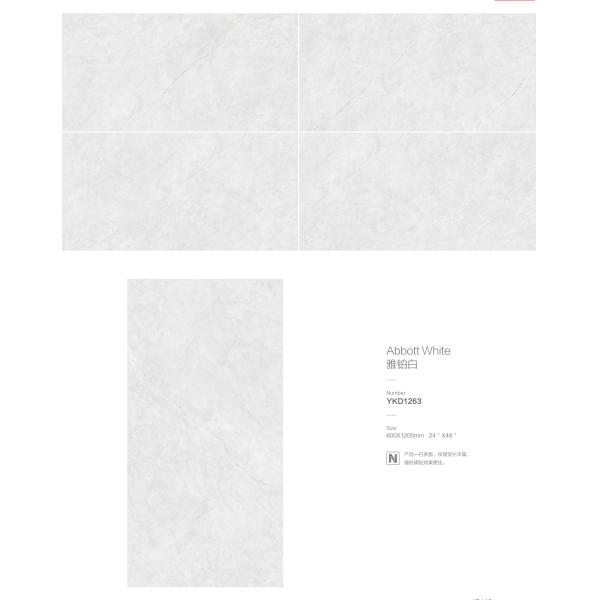 Easy Maintenance and Floating Installation in 600*1200mm for Modern Porcelain Tile