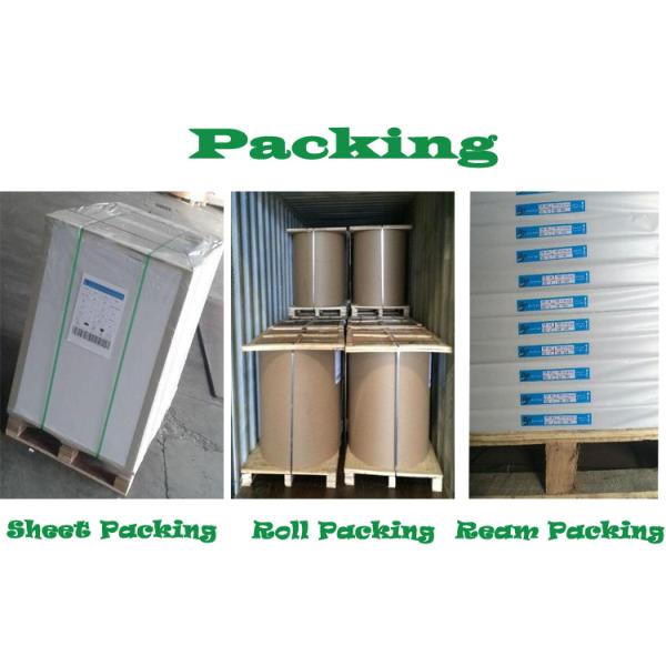 50g 60g 70g 80g Offset Printing Paper , A4 Size White Paper Roll For School Exercise Book