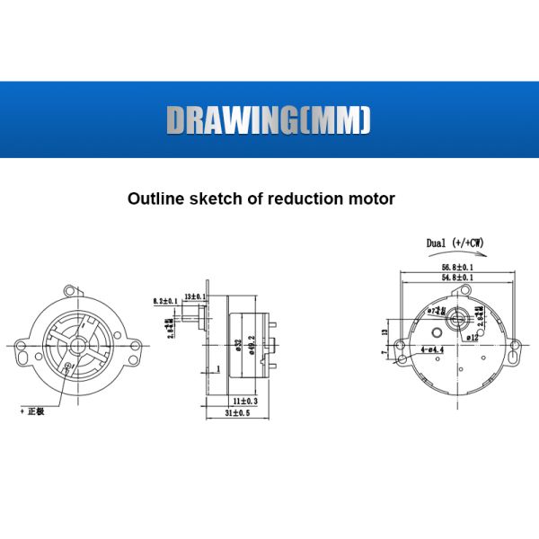 Futeng Factory 49mm Dc Spur Gear Motor Gearbox Long Lifetime Low Speed High Torque Gear Motor 12V/24V/36V