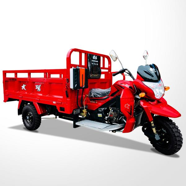 800W DAYANG DY-R1 RUITENG 250cc Tricycle cargo pour lourds CCC Trois roues moto