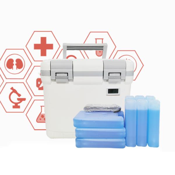 Phefon Portable 6Liters Hard Cooler Box With Temperature Display