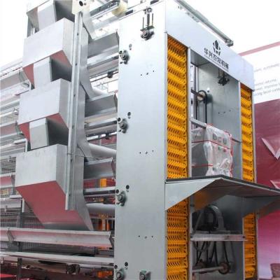 C Shaped Chicken Egg Collection System , Durable Poultry Farming Equipment