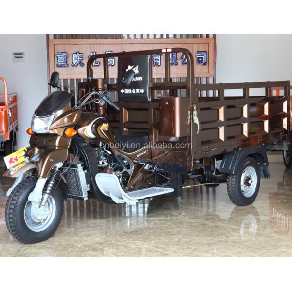 150cc трехколесный велосипед 200cc трехколесный мотоцикл 250cc грузовой триколесный мотоцикл Моторизованный тип 5.0