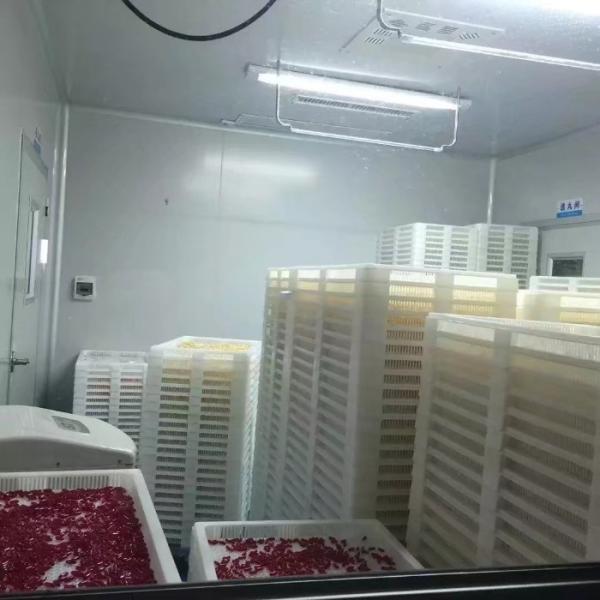 Food Grade Plastic / Metal Tray And Trolly For Drying Capsule Candy